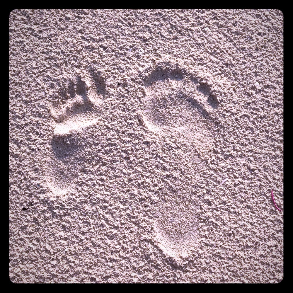 Meet your Posher, CocoT.